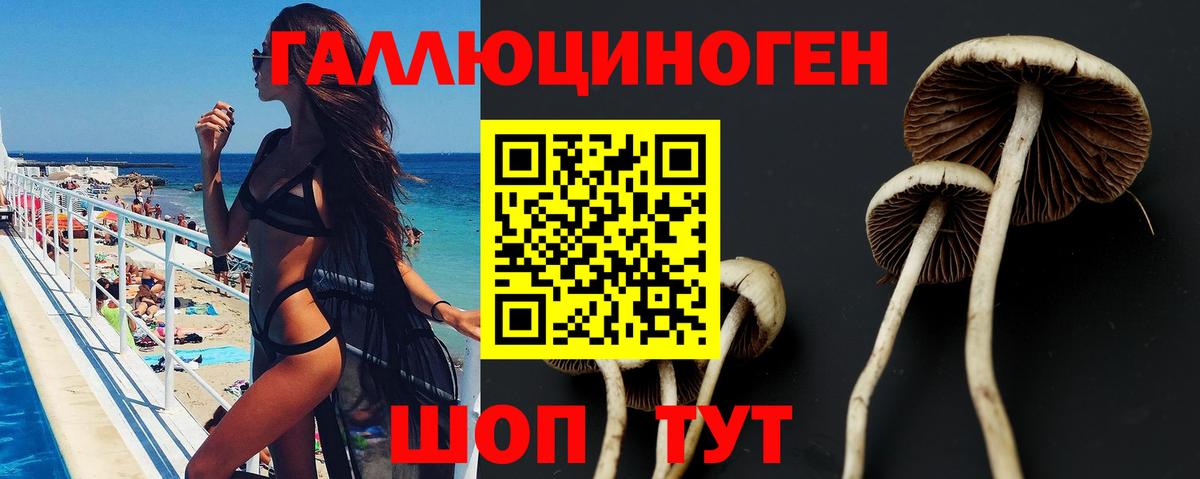 Галлюциногенные грибы мицелий Липецк